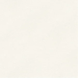 วอลเปเปอร์สีพื้น เทาอ่อน No.10309-2