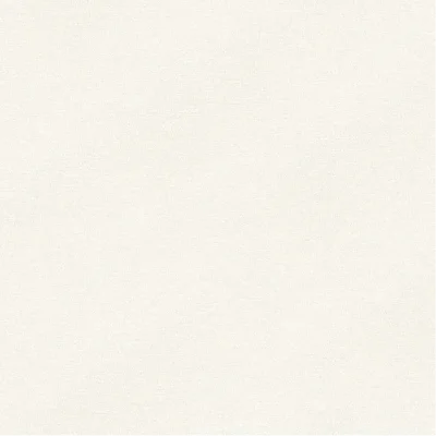วอลเปเปอร์สีพื้น เทาอ่อน No.10309-2