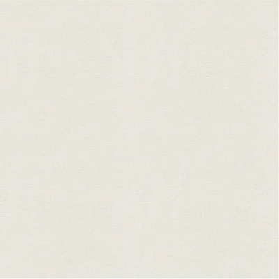 วอลเปเปอร์สีพื้น เทาอ่อน
