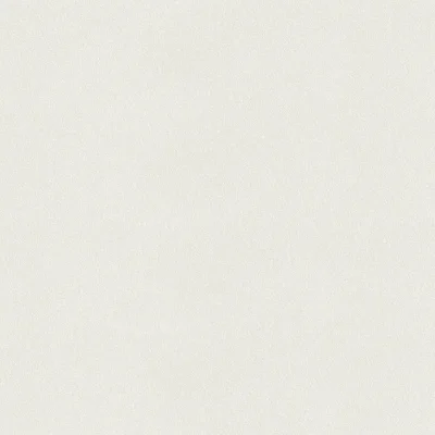 วอลเปเปอร์สีเทาอ่อน No.431-2
