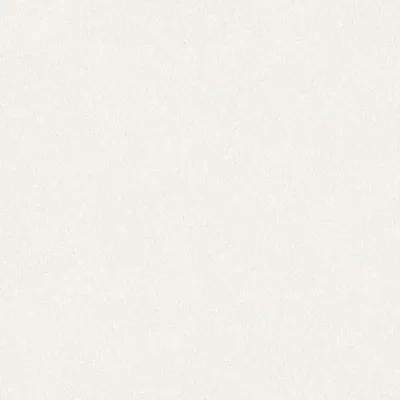 วอลเปเปอร์สีขาวอมเทา No.433-2