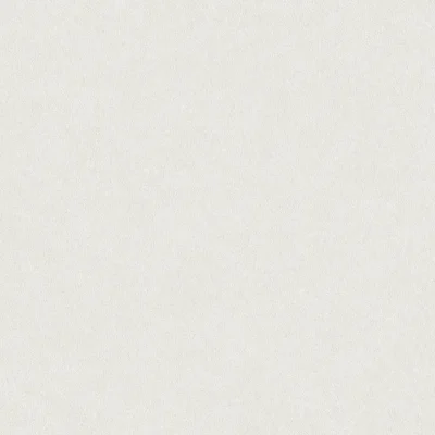 วอลเปเปอร์ สีขาวอมเทา No.434-2