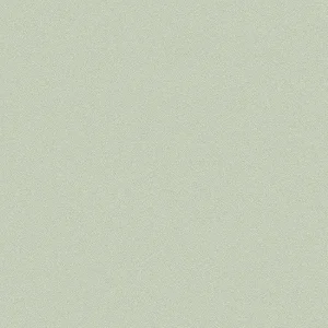 วอลเปเปอร์ สีเขียวอมเทา No.52505-5