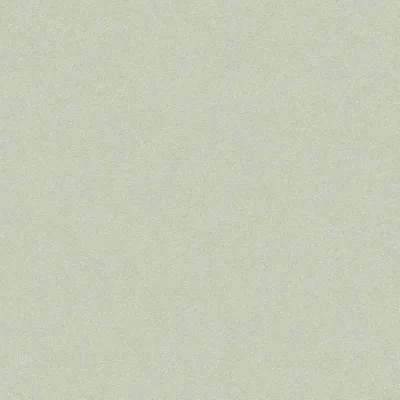 วอลเปเปอร์ สีเขียวอมเทา No.52505-5