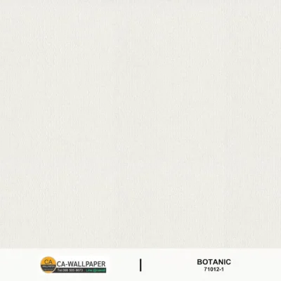 วอลเปเปอร์สีพื้น เทาอ่อน