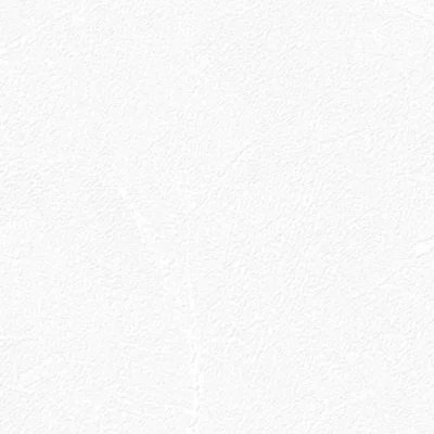 วอลเปเปอร์ลายปูนเปลือยสีขาว No.9408-1