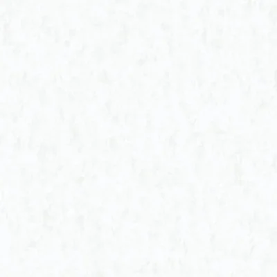 วอลเปเปอร์ลายปูนเปลือยสีขาวมุก มีกลิตเตอร์ No.81211-1