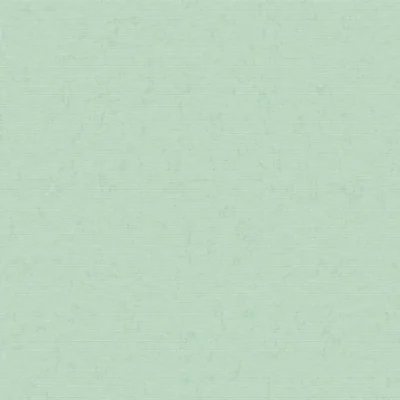 วอลเปเปอร์ติดผนัง สีเขียว No.8611-8