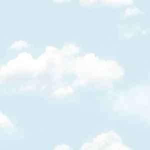 วอลเปเปอร์ลายท้องฟ้า No.88421-1