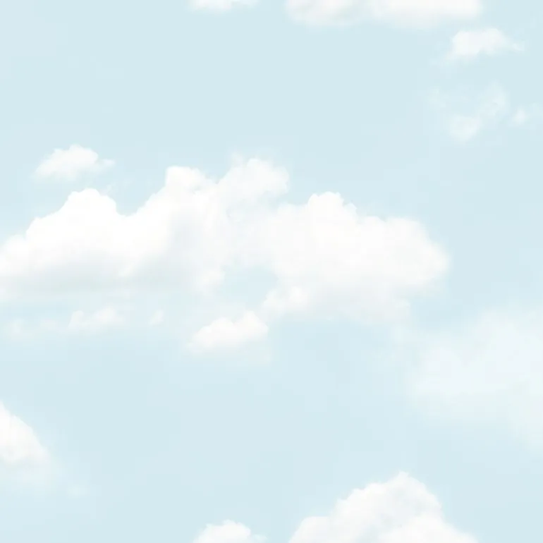 วอลเปเปอร์ลายท้องฟ้า No.88421-1