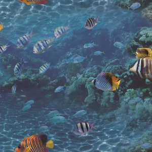 วอลเปเปอร์ใต้ท้องทะเล No.88424-1