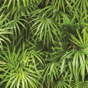 วอลเปเปอร์ลายใบไม้สีเขียวธรรมชาติ No.88425-1