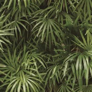 วอลเปเปอร์ลายใบไม้สีเขียว No.88425-2