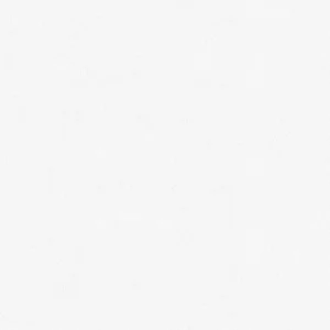 วอลเปเปอร์สีขาว มีกลิตเตอร์