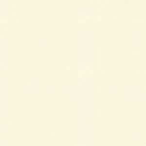 วอลเปเปอร์ สีเขียวอ่อนพาสเทล