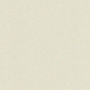 วอลเปเปอร์สีน้ำตาล