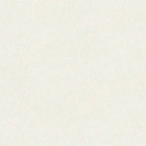 วอลเปเปอร์สีเทา