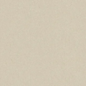 วอลเปเปอร์สีน้ำตาล