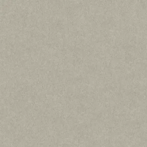 วอลเปเปอร์สีเทาเข้ม