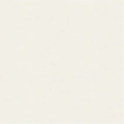 วอลเปเปอร์ สีเทาอ่อนสว่าง No.391-2