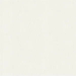 วอลเปเปอร์ สีขาว