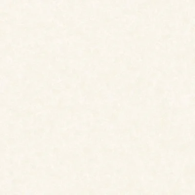 วอลเปเปอร์สีพื้น ครีม No.4042-2