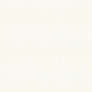 วอลเปเปอร์ สีขาวมีกลิตเตอร์สีเงิน