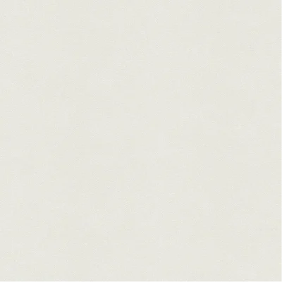 วอลเปเปอร์ สีเทาอ่อนสว่าง