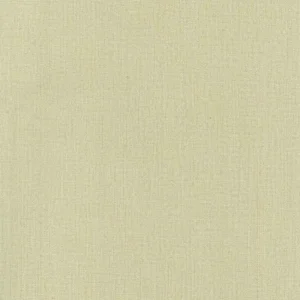 วอลเปเปอร์สีเขียวขี้ม้า No.AW80-11