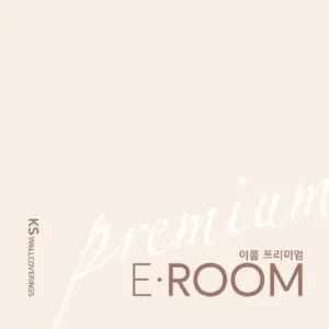 E-ROOM 2
