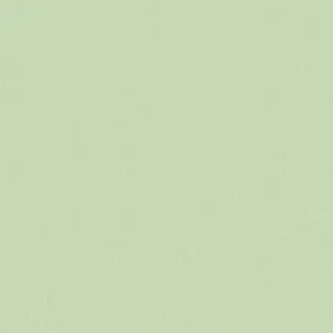 วอลเปเปอร์สีเขียวอ่อน หน้ากว้าง 1 เมตร No.34526-6