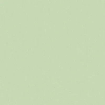วอลเปเปอร์สีเขียวอ่อน หน้ากว้าง 1 เมตร No.34526-6